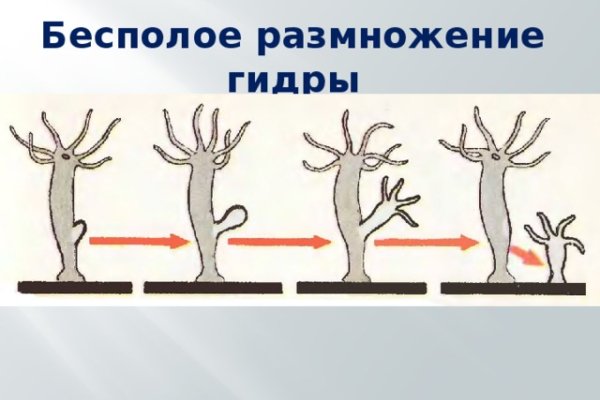 Действующие ссылки на кракен