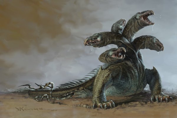Kraken 17at