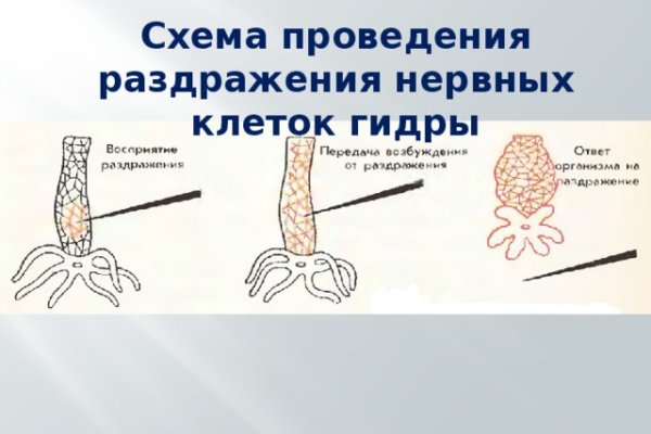 Кракен через тор