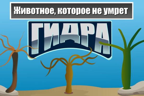 Кракен зеркало ссылка онлайн