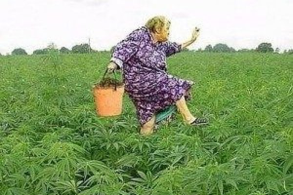 Кракен через впн