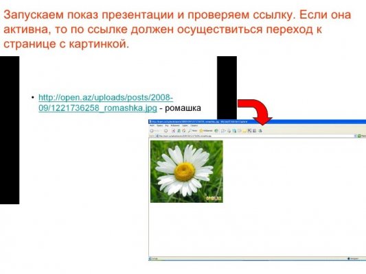 Kraken рынок