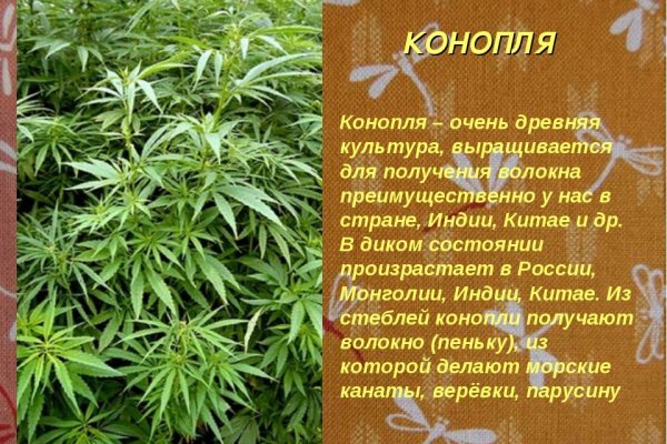 Кракен маркет даркент только через тор