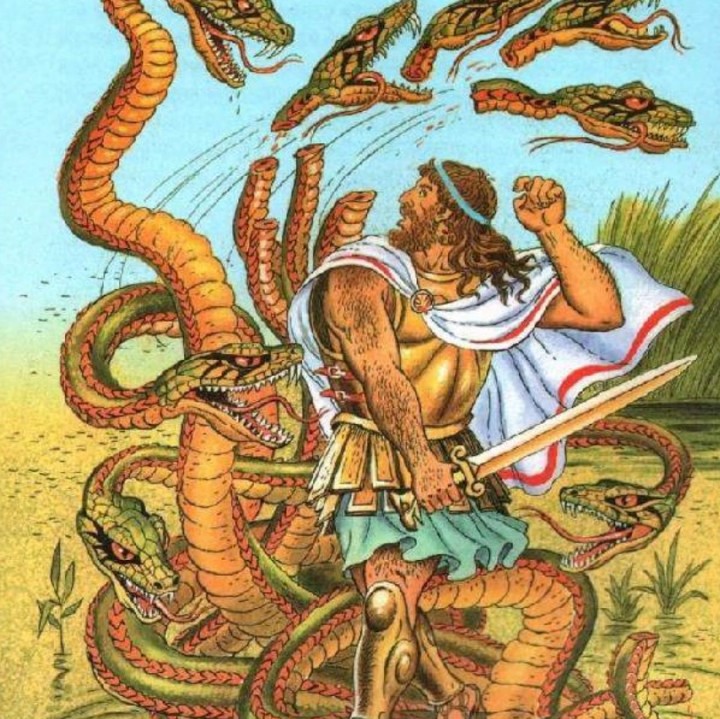 Kraken 17 at